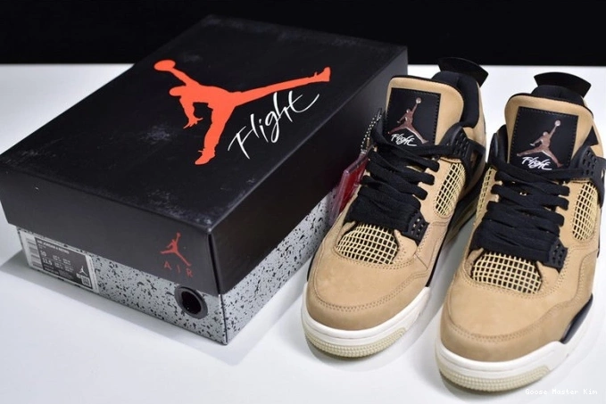 4 Air Jordan Mushroom AQ9129-200 0809